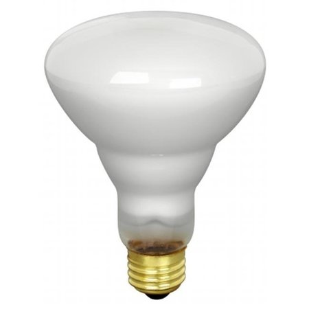 FEIT ELECTRIC Feit Track & Recessed Flood Reflector Light Bulb  65BR30-FL 65BR30/FL